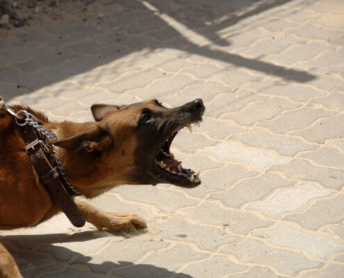 Liability Insurance Agent Dallas, TX