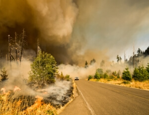 Insurance Coverage for Natural Disasters in Dallas, TX