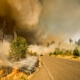 Insurance Coverage for Natural Disasters in Dallas, TX