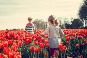 Spring Activities to Consider in Dallas, Texas