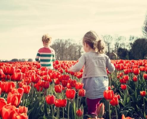 Spring Activities to Consider in Dallas, Texas