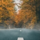 Fall and winter season driving tips in Dallas, Texas