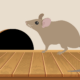 How to prevent rodent damage in your Dallas, Texas home